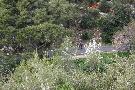 gal/Saison 2011/En_route_vers_le_Mont_Faron/_thb_IMG_9760.JPG